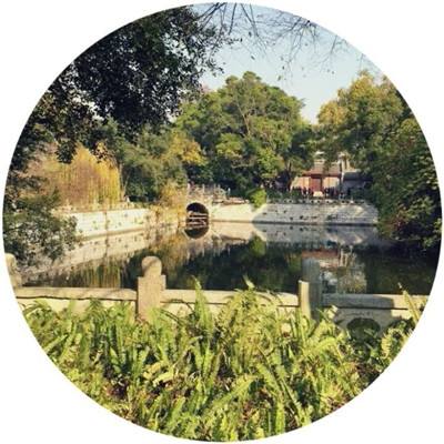 新质生产力为世界经济复苏增添活力