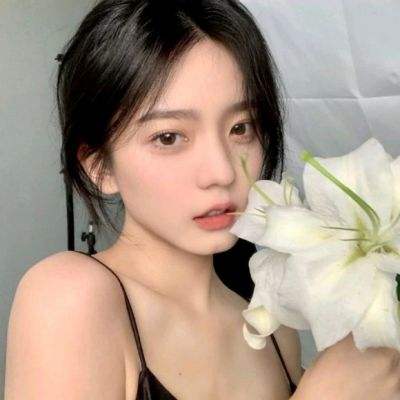 萌鸡敢死队最新破解版下载